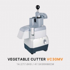 COMPACT VEGETABLE CUTTER MACHINE